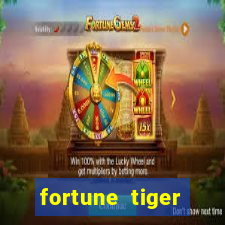 fortune tiger horarios pagantes